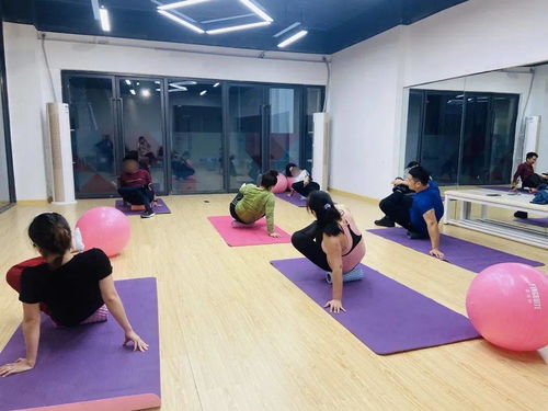 深耕社区文化品牌建设，赋能城市美好生活新篇章——金地海南公司场地设施经营探索