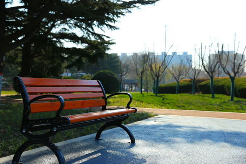 老园新颜 涂色童年记忆，潍坊公园的设施新生