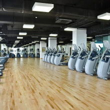 2018年健身器材市场概览 批发报价与选购指南（第六页）