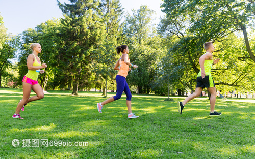 夏季公园马拉松 运动、健康与快乐的交汇点