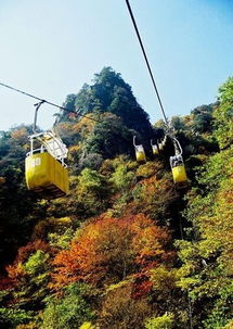 秋染山色，情动会员——“你出游，我送票”之尧山六羊山通天河红叶休闲活动综述